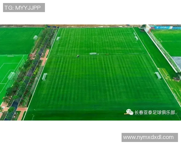 里水镇足球崛起之路探索青少年培养与社区发展的新模式