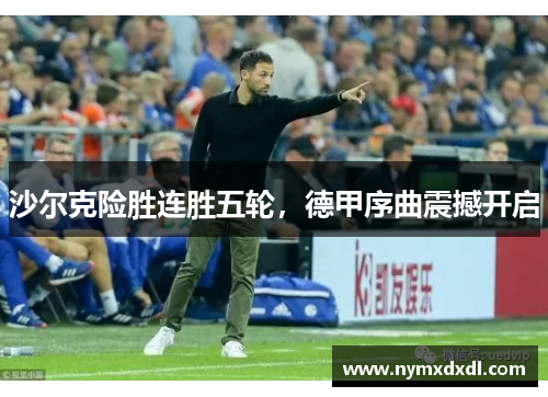 沙尔克险胜连胜五轮，德甲序曲震撼开启