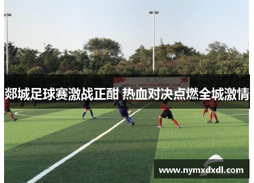 郯城足球赛激战正酣 热血对决点燃全城激情