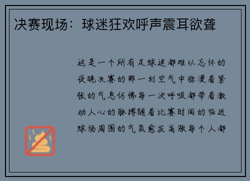 决赛现场：球迷狂欢呼声震耳欲聋
