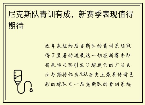 尼克斯队青训有成，新赛季表现值得期待