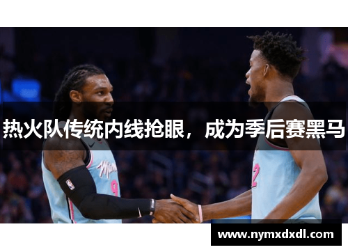 热火队传统内线抢眼，成为季后赛黑马