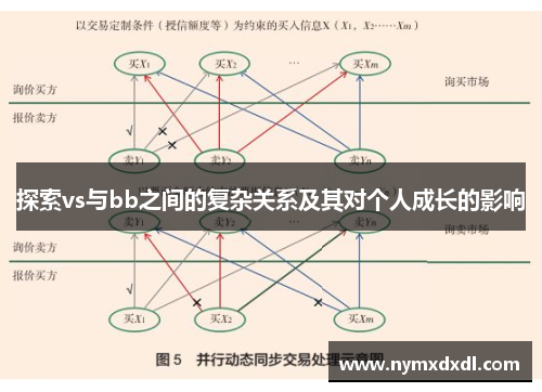 探索vs与bb之间的复杂关系及其对个人成长的影响