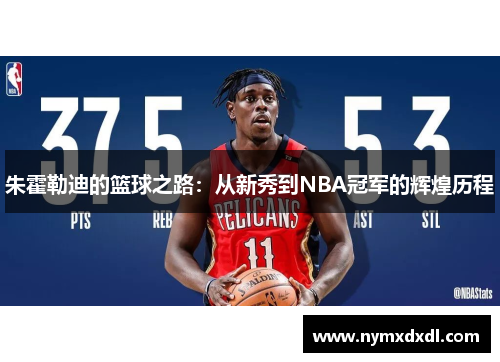 朱霍勒迪的篮球之路：从新秀到NBA冠军的辉煌历程